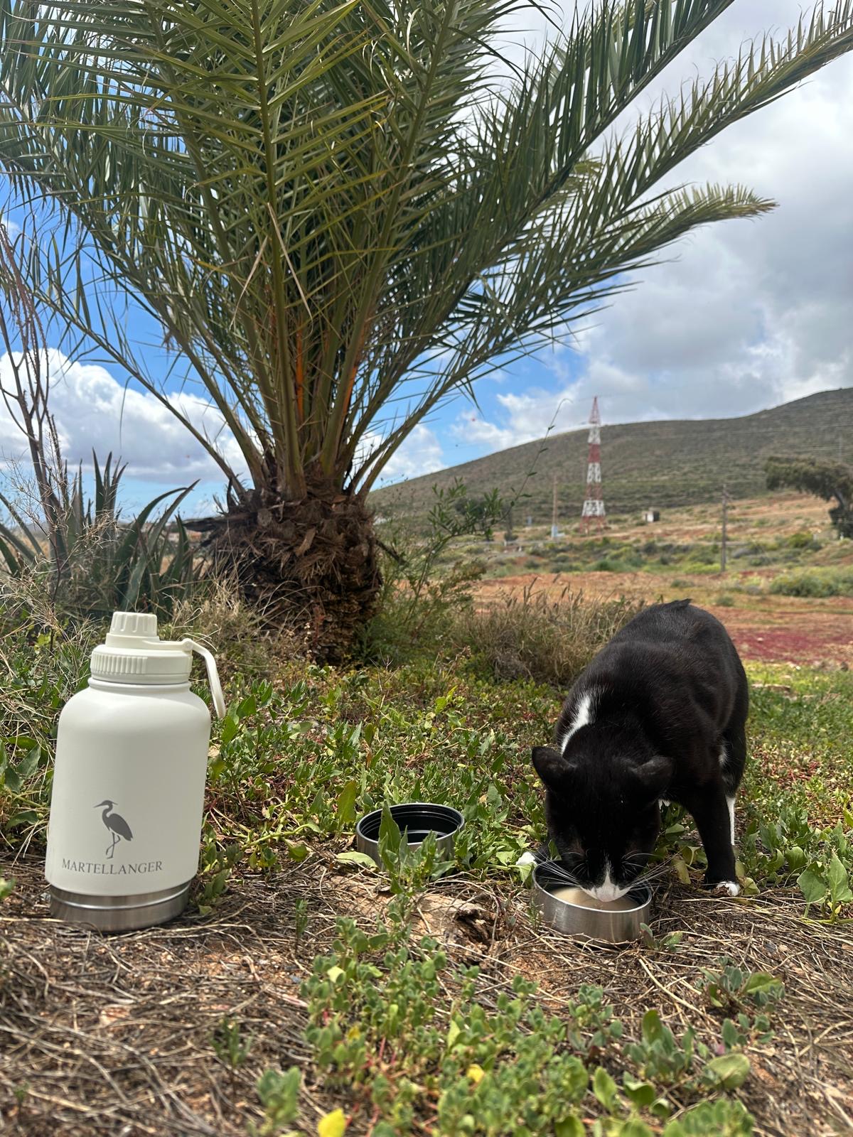 Mascota bebiendo del cuenco de la botella Martellanger en el campo
